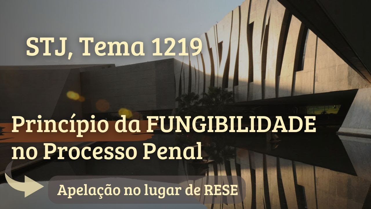 Princípio da FUNGIBILIDADE no Processo Penal (apelação no lugar de RESE).  STJ, Tema 1219
