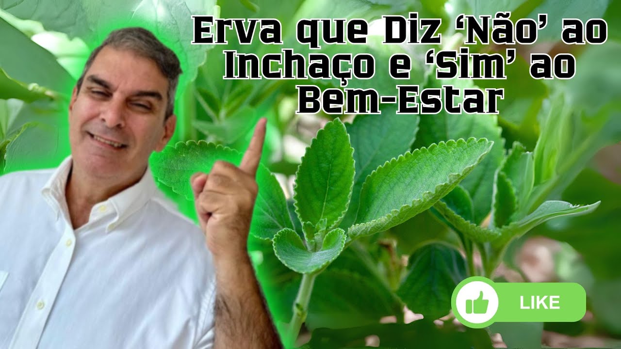 ERVA BOLDO - Benefícios e Efeitos Colaterais - Dr. Prof. Nelson Marques