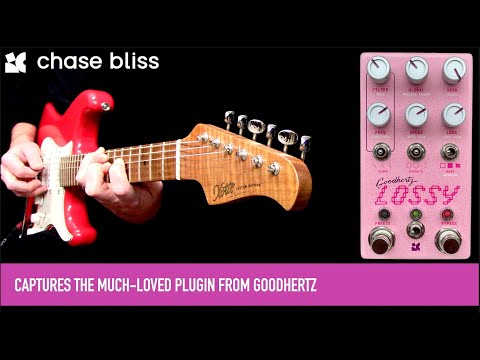 Chase Bliss Audio Lossy 2023 - Present - Various image 7