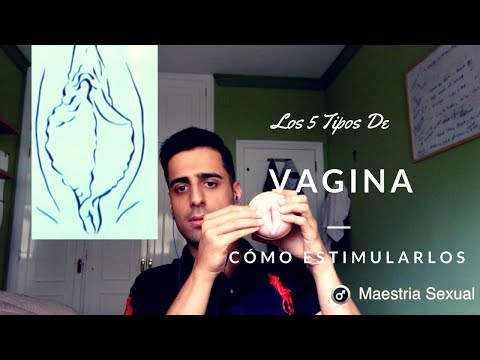 Los 5 Tipos De Vaginas Que Existen y Cómo Estimularlos
