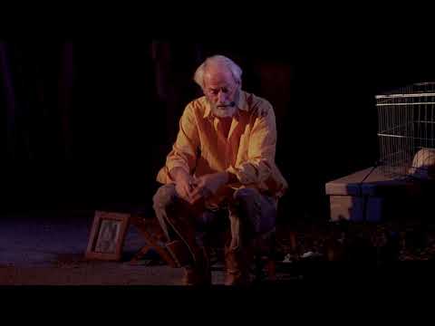 L' AMLETO DI AMLETICO BARBONE