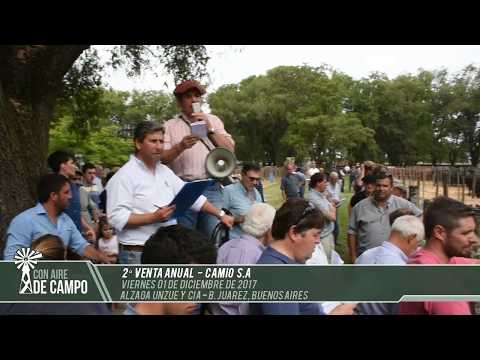 Informe del remate de Camio S.A - Viernes 01 de diciembre de 2017 -  Benito Juárez