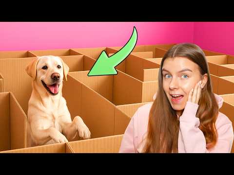 HASSUT Koira Haasteet 🐶