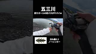 釣果情報