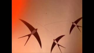 Side - come back harriet