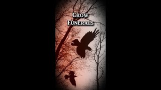 Crow Funerals | Fascinating Horror Shorts