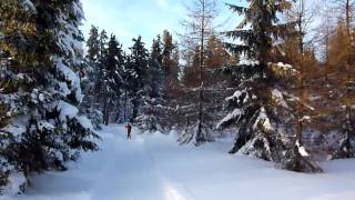 preview picture of video 'Góry Bystrzyckie narty biegowe'