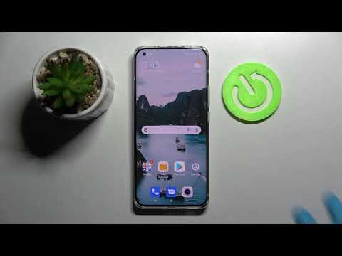 Xiaomi Mi 11 Ultra - How To Turn On & Off Auto Brightness