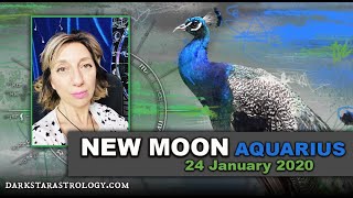 New Moon January  2020 ~ Tempting Baubles By Darkstar Astrology