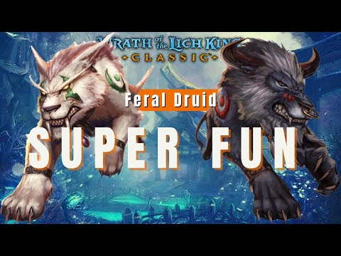 🤯 Feral Druid is INSANE in Wotlk Pre Patch 🤫