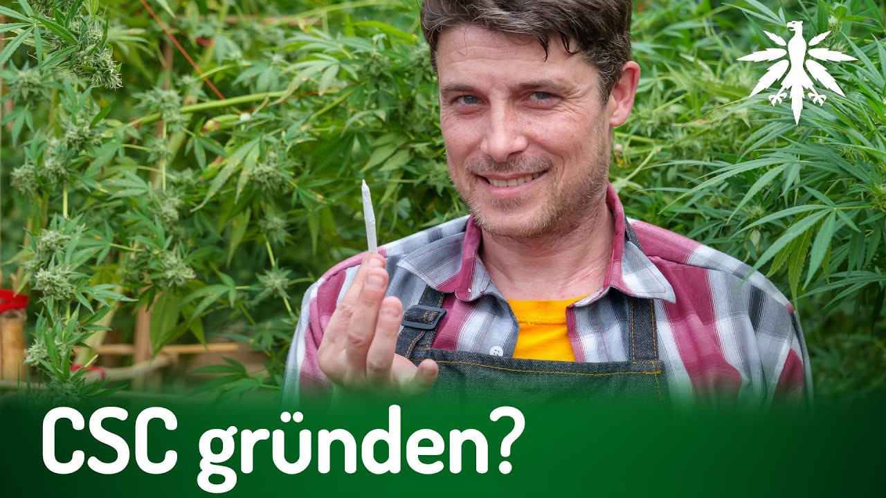 CSC gründen? | DHV-News # 381