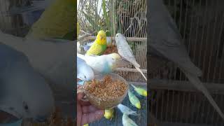 🛍️触れずに選んだ結果