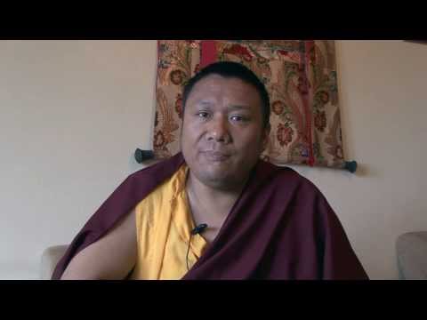 Tulku Dakpa Rinpoche - The nature of negative emotions