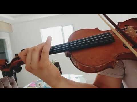 HINO CCB 295  (VIOLINO E ÓRGÃO)