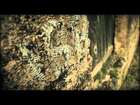 Salomon Sense Mantra M 