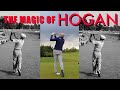 HOGAN'S MAGIC MOVE One of MANY