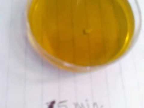 Polyaniline on Anodic Aluminium Oxide