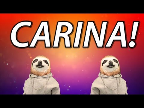 HAPPY BIRTHDAY CARINA! - SLOTH HAPPY BIRTHDAY RAP