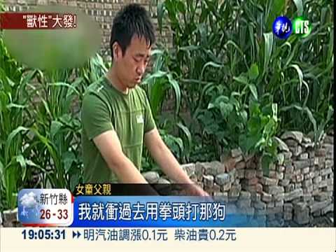 藏獒撲倒5歲女童 兩頰險被咬爛