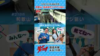 【10/1㊍22:00～OA予告】「和歌山・田辺沖でシマアジ狙い」お見逃しなく！ #ビッグフィッシング