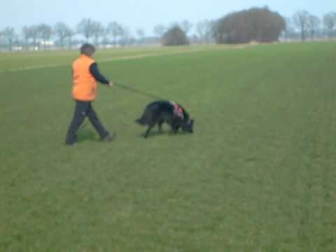 nena speuren in landhorst