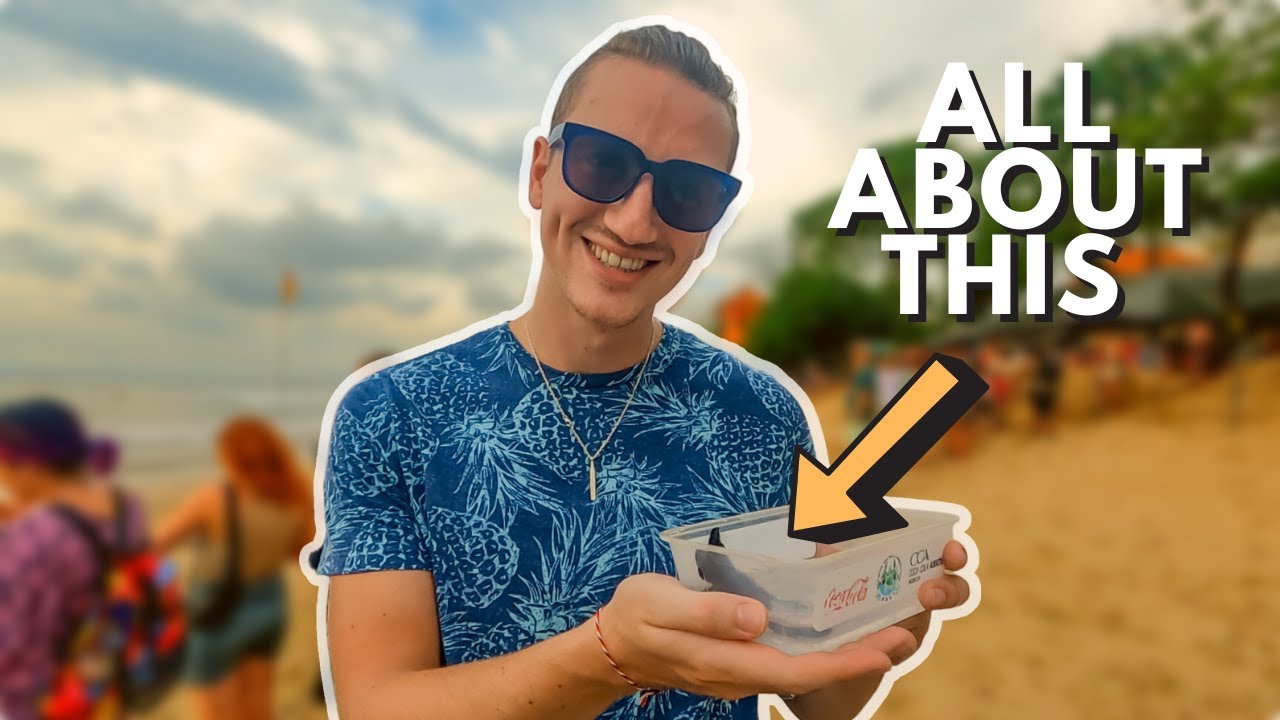 Travelers share their experience at Bali Sea Turtle Society.