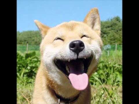 Wolfram ft. Holy Ghost - Hold My Breath (Johan Agebjorn ft. Sally Shapiro remix)