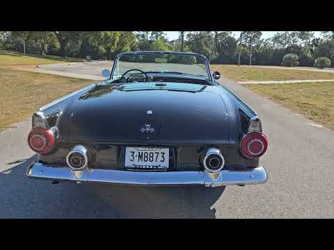 1955 Ford Thunderbird (CC-2021900) for sale in Hudson , Florida