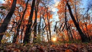 Skizzy Mars - Burn Bridges (Ft. Chose)