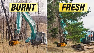 Cutting Down Burnt (And Fresh) Trees In Australia With Tree Shear