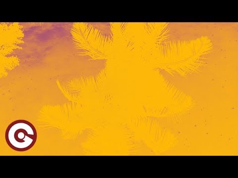 SALASNICH & Rhett Fisher - Summer Dreams | RnDm vs Malvar 2024 Remix Drop