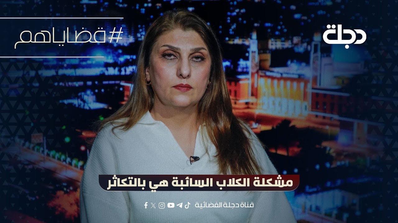 فيديو | ناشطة بحقوق الحيوان:  مشكلةالكلاب السائبة هي بالتكاثر وطرحنا مشروع للتعقيم اللقاحات لم نلتقي استجابة