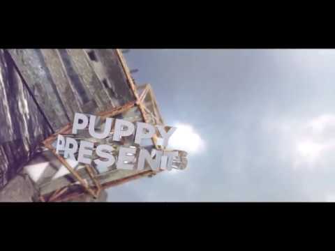 Introducing Virus Flash - Puppy