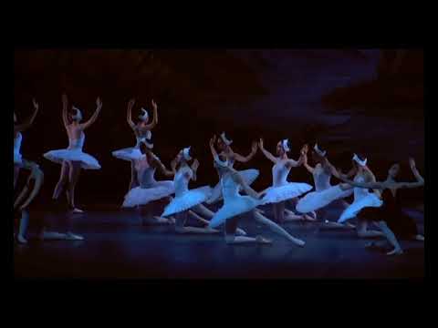 Swan Lake (Act IV ) Teatro Arcimboldi, Milan from 4 to 13 June 2021  (Gaia Bertolin)