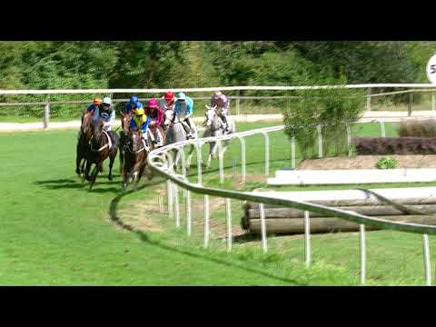 Dielsdorf/15.08.2020/Silberblaues Band von Zurich
