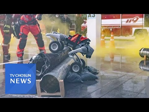 재난상황 내게 맡겨 [아침에 한 장] [뉴스퍼레이드]