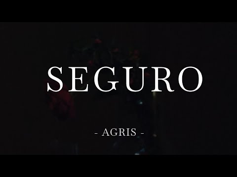 AGRIS - Seguro (entrevista)