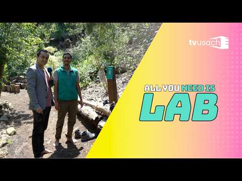 All You Need Is Lab en la Calle: Baños de bosque en Santiago PARQUEMET