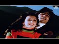 तुम भी चलो हम भी चलें Zameer Kishore Kumar Amitabh Bachchan Saira Ba