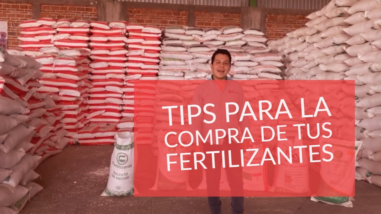 Fertilizante. Tips generales para la compra y uso de fertilizantes