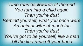 Robyn Hitchcock - Then You&#39;re Dust Lyrics