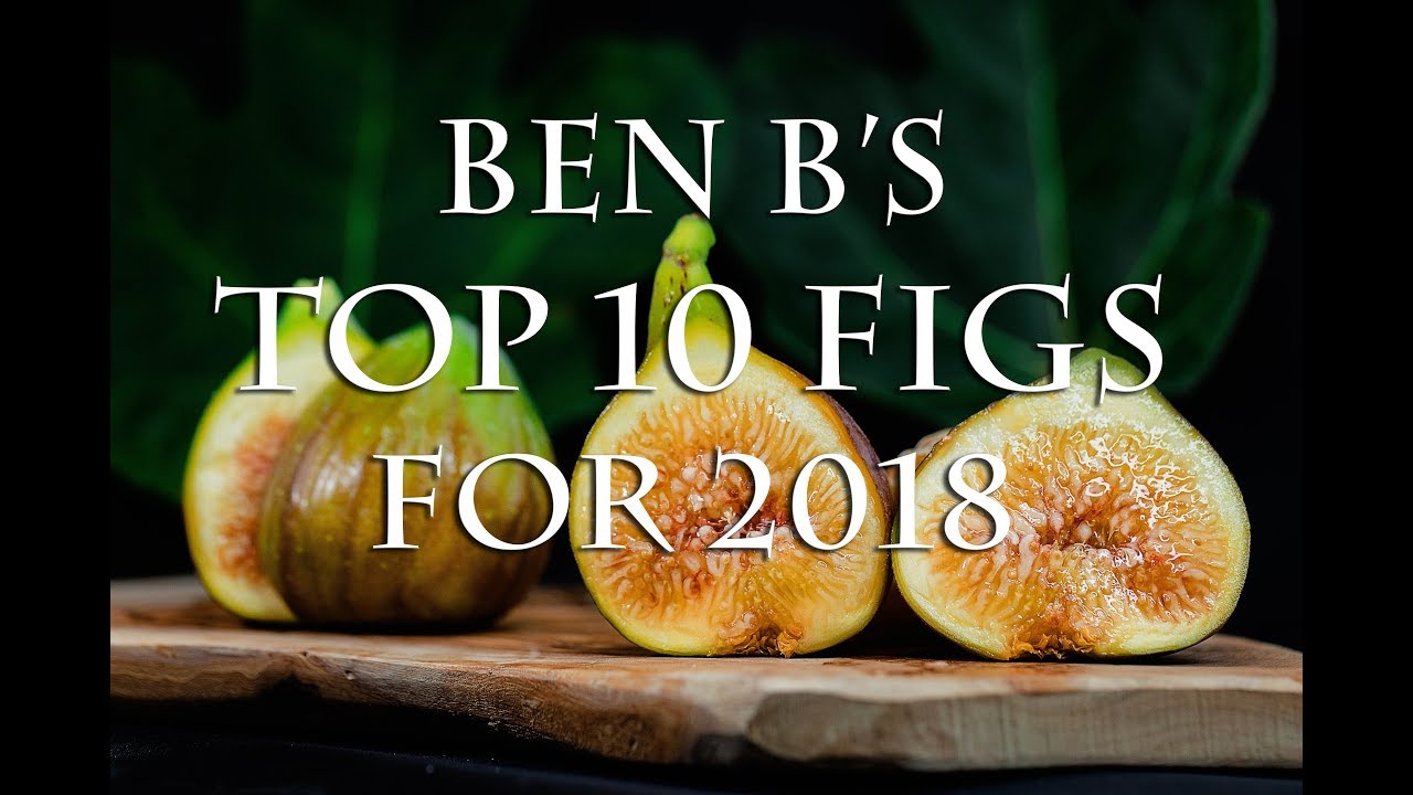 Ben B's Top 10 fig varieties for 2018