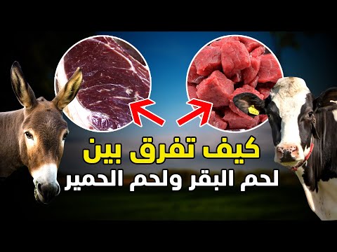 , title : 'كي لا يخدعك الجزار كيف تفرق بين لحم البقر ولحم الحمير'
