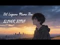 Hamne Wahi Lagaya Dil Jha Dil Lagana Mna Tha Slowed Reverb New Song