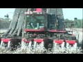 The Story Of Cotton