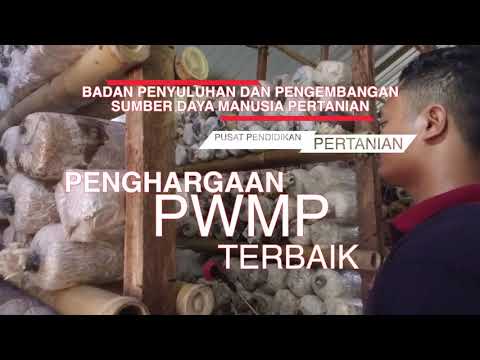 download lagu mp3 mp4 Pwmp, download lagu Pwmp gratis, unduh video klip Download Pwmp Mp3 dan Mp4 Popular Gratis