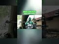MANUSIA SILVER Vs MANUSIA HIJAU
