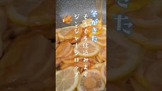 【自家製はちみつレモンジンジャーシロップ仕込み】#ととのう  #ズボラ嫁 #日常 #vlog #おやつ #カップル #ホケミ #簡単レシピ #リベンジ