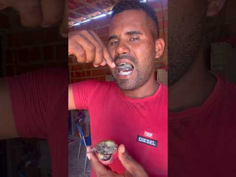 Fruta do mandacaru você já comeu #nordeste #piauí