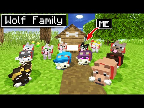 🐺👨‍👩‍👧‍👦SHOCKING: Wolf Family Invades Minecraft PE!